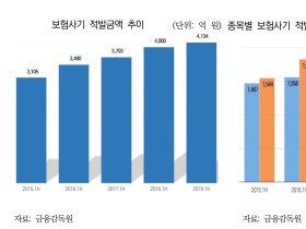 “건강보험 부당청구·보험사기 방지 위해 공·사보험 협력 필요”