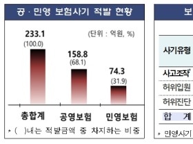 “보험사기 방지 위한 실효성 있는 대책 마련해야”