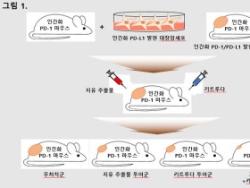 한약재 ‘지유’서 한의기반 면역항암제 후보물질 발굴