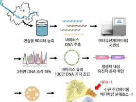 한강 바이러스서 새로운 항생제 내성 효소 발견