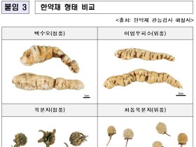 백수오·복분자·오공 등 한약재 위품의 오·혼용 막는다