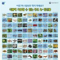 ‘식용불가’ 농･임산물 판매 집중 단속