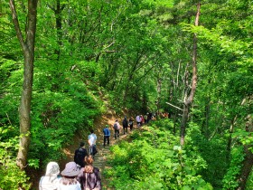 코로나 우울 극복을 위한 산림치유 프로그램 개발