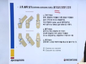 “추나요법 급여 청구 위한 사전교육 이수하세요∼”