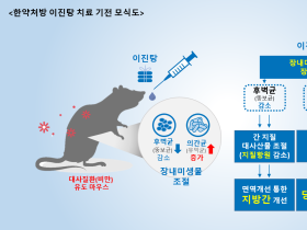 이진탕의 지방간·당뇨 등 대사질환 치료기전 ‘규명’