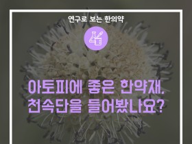 아토피에 좋은 한약재, 천속단을 들어봤나요?