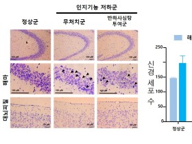 한의학연, 한약의 적응증 확대 위한 임상연구 ‘박차’