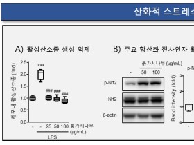 붉가시나무 추출물서 신경염증 억제 효과 확인