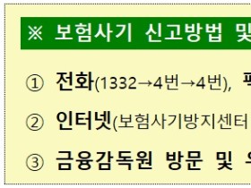 실손보험으로 미용시술 권유?…“보험사기 주의하세요”