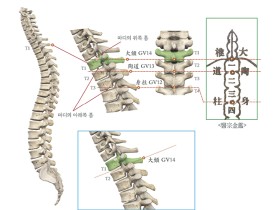 침금동인으로 복원한 내의원 표준경혈6