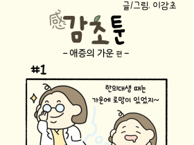 애증의 가운 편