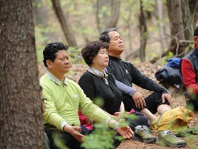 국립산림과학원, ‘산림치유 항노화 프로그램’ 운영