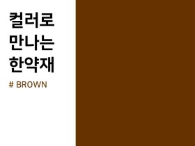 컬러로 만나는 한약재, BROWN편