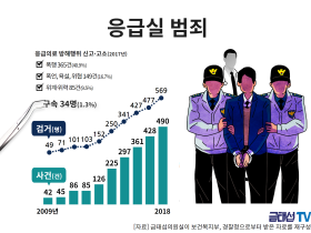 응급실 범죄 10년새 11.7배 증가…구속은 100명 중 1명