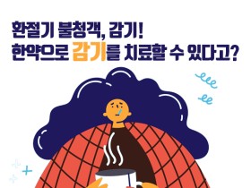 한약으로 감기 치료하세요!