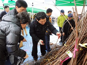 약재 산업(山業) 양성 위한 계획 추진