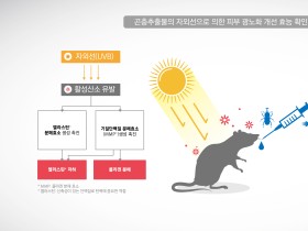 곤충 추출물, 자외선에 의한 피부 광노화 '개선'