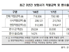 보험사기, 2년만에 800억원 가량 증가…환수는 제자리걸음