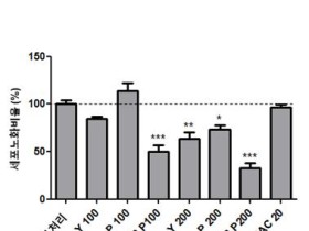 닥나무․노랑느타리버섯 추출물, 피부세포 노화 50% 억제