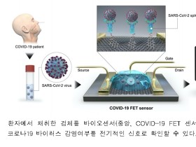 코로나19 감염 여부 실시간 확인 바이오센서 개발