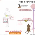 Nature에서도 소개된 침 연구, 기초연구·임상적 의미는?