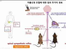 Nature에서도 소개된 침 연구, 기초연구·임상적 의미는?