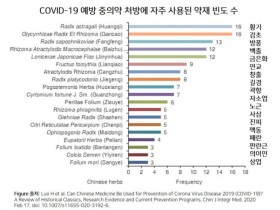 코로나19 중의약 처방에 자주 사용되는 약재는?