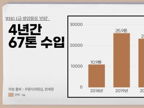 1급 발암물질 등록된 ‘빈랑’…한국에 4년간 67톤 풀려