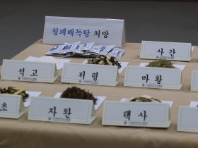 청폐배독탕 무료 배포, 어떻게 가능했나?