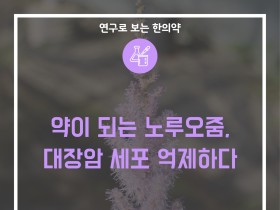 약이 되는 노루오줌, 대장암 세포 억제하다