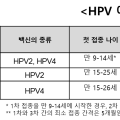 오는 14일부터 만 13~26세 여성도 HPV 예방접종 국가지원