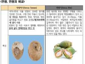 한의협 "중국산 식품 빈랑, 한약재 '빈랑자'와 달라"