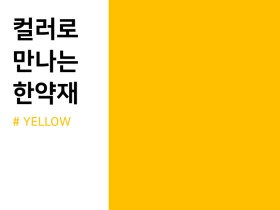 컬러로 만나는 한약재, YELLOW편