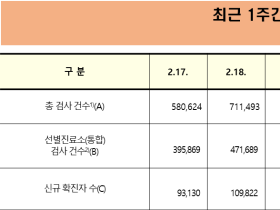 코로나19 신규 확진자 17만1452명