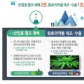 국내 최초 고순도 의료목적 CBD 제조·수출 실증 착수