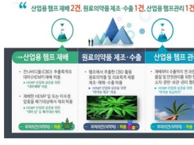 국내 최초 고순도 의료목적 CBD 제조·수출 실증 착수