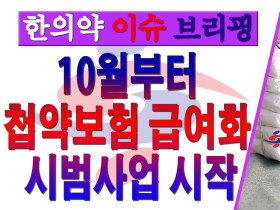 [한의약 이슈 브리핑] 10월부터 첩약보험 급여화 시범사업 시작