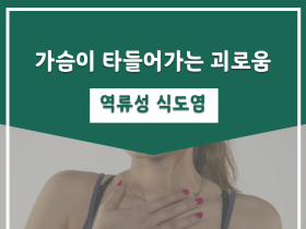 가슴이 타들어가는 괴로움, 역류성 식도염