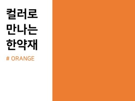 컬러로 만나는 한약재, ORANGE편