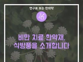 비만 치료 한약재, 식방풍을 소개합니다