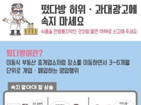 '떳다방' 전국 일제 점검…허위·과대 광고 등 단속