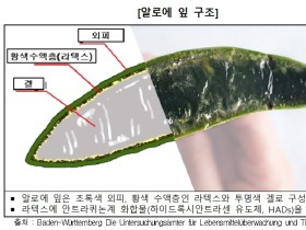 알로에 전잎 건강기능식품, 장기간 섭취 ‘주의’