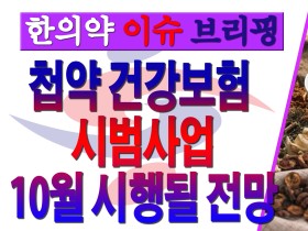 첩약 건강보험 시범사업, 10월 시행될 전망