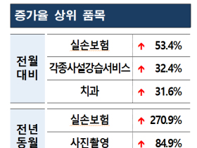 한국소비자원 “4월 실손보험 불만 사례 53.4%↑”