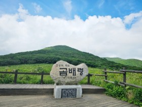 점봉산 곰배령 가는 길