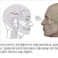 침금동인으로 복원한 내의원 표준경혈4