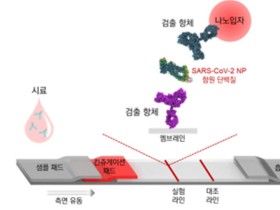 코로나19 감염여부, 현장서 15분 내외 육안 식별 가능해진다