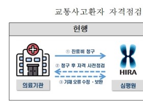 심평원, 자동차보험 사전점검 서비스로 행정 효율 향상