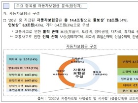 한의치료가 자보 인상의 주범?…환자진료권 위축 ‘우려’