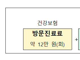 장기요양 재택의료센터 시범사업 개시